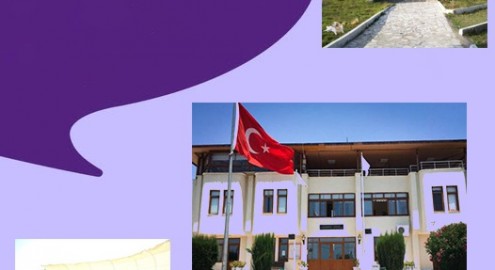 Genel Kurul Çağrı