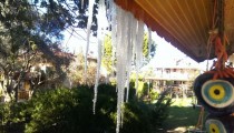 SİZDEN GELENLER