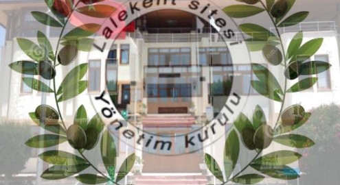 Zeytinlerin toplanması ihale şartnamesi